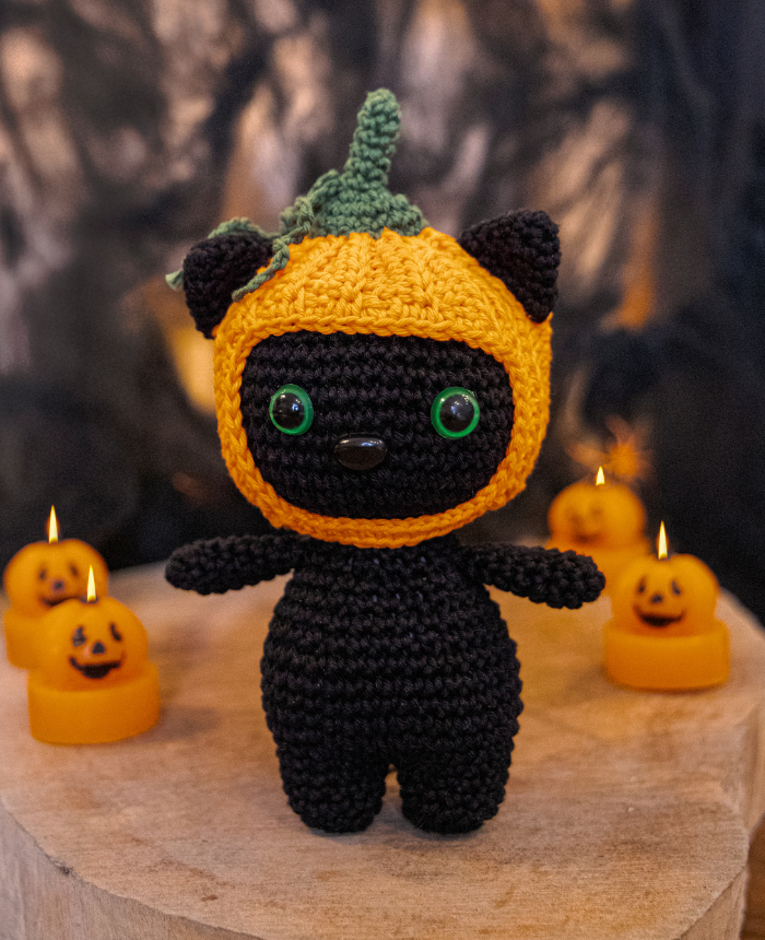 Pumpkin Cat